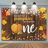 Herbst Hölzern Wenig Kürbis Ist Aufstehen Eins Hintergrund